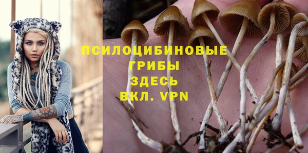 круглые Горно-Алтайск