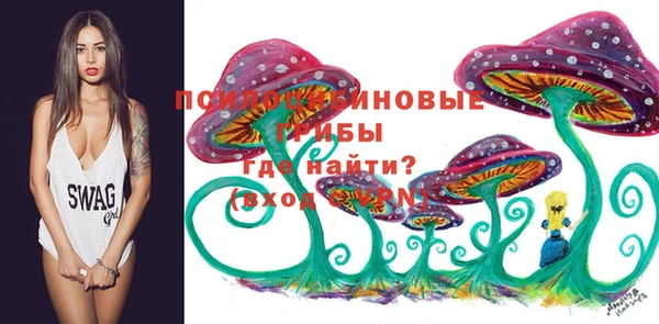 синтетический гашиш Горнозаводск