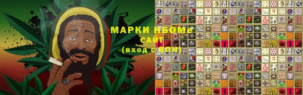 PSILOCYBIN Гусев
