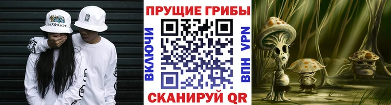 Галлюциногенные грибы Psilocybine cubensis Ростов-на-Дону